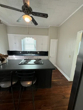a backyard of a house with plants and large tree