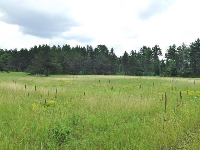 On Boot Lake Road, Unit LOT 6 Eagle River, WI 54521 - Photo 2 of 7 Gallery Image 2