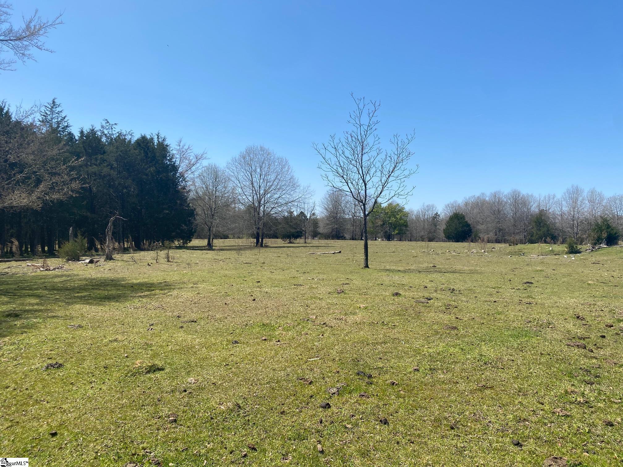 1022 Wham Lawn Road Gray Court, SC 29645 - Photo 4 of 17