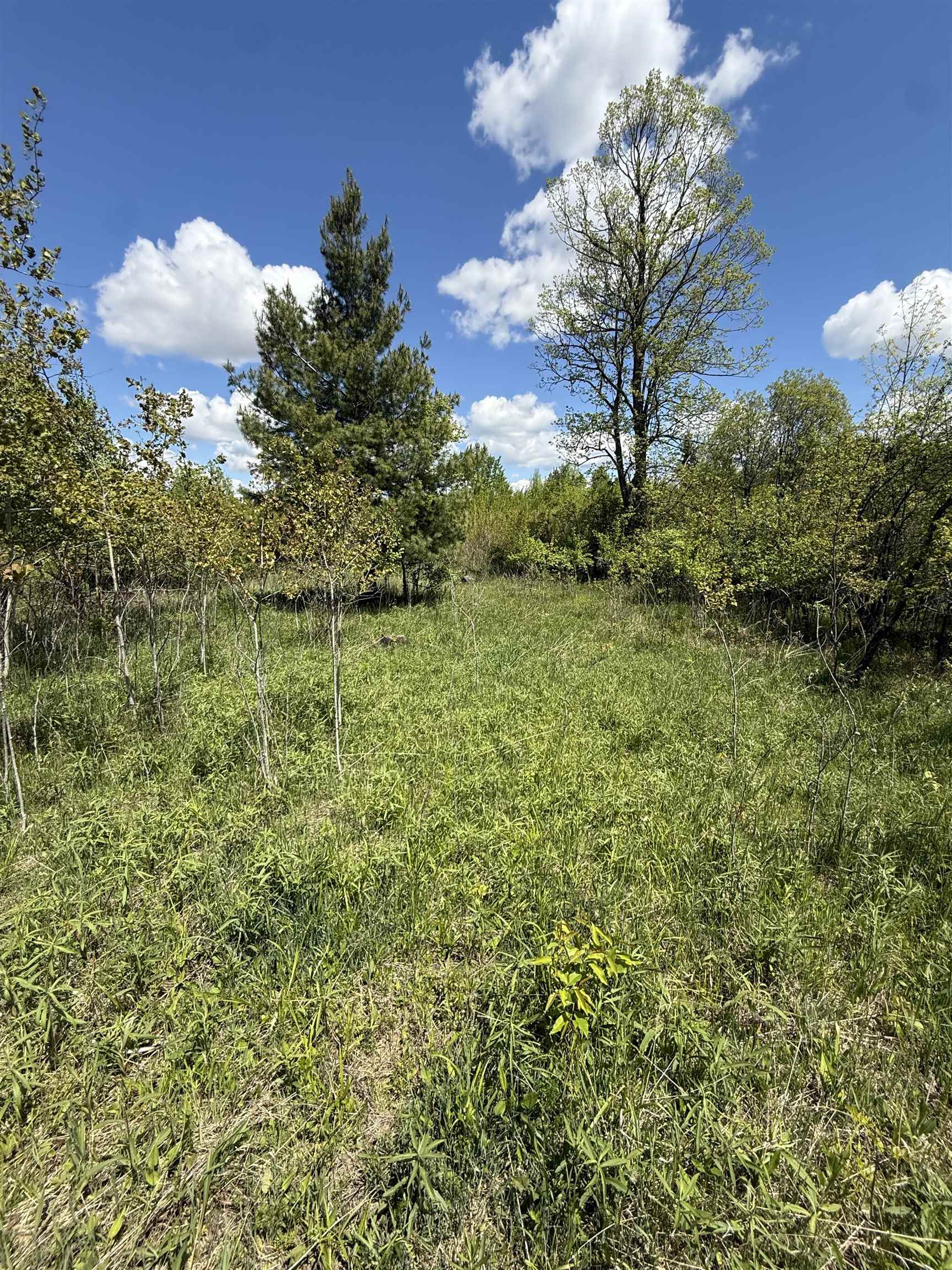 19 Mile Road Kingsley, MI 49649 - Photo 11 of 30