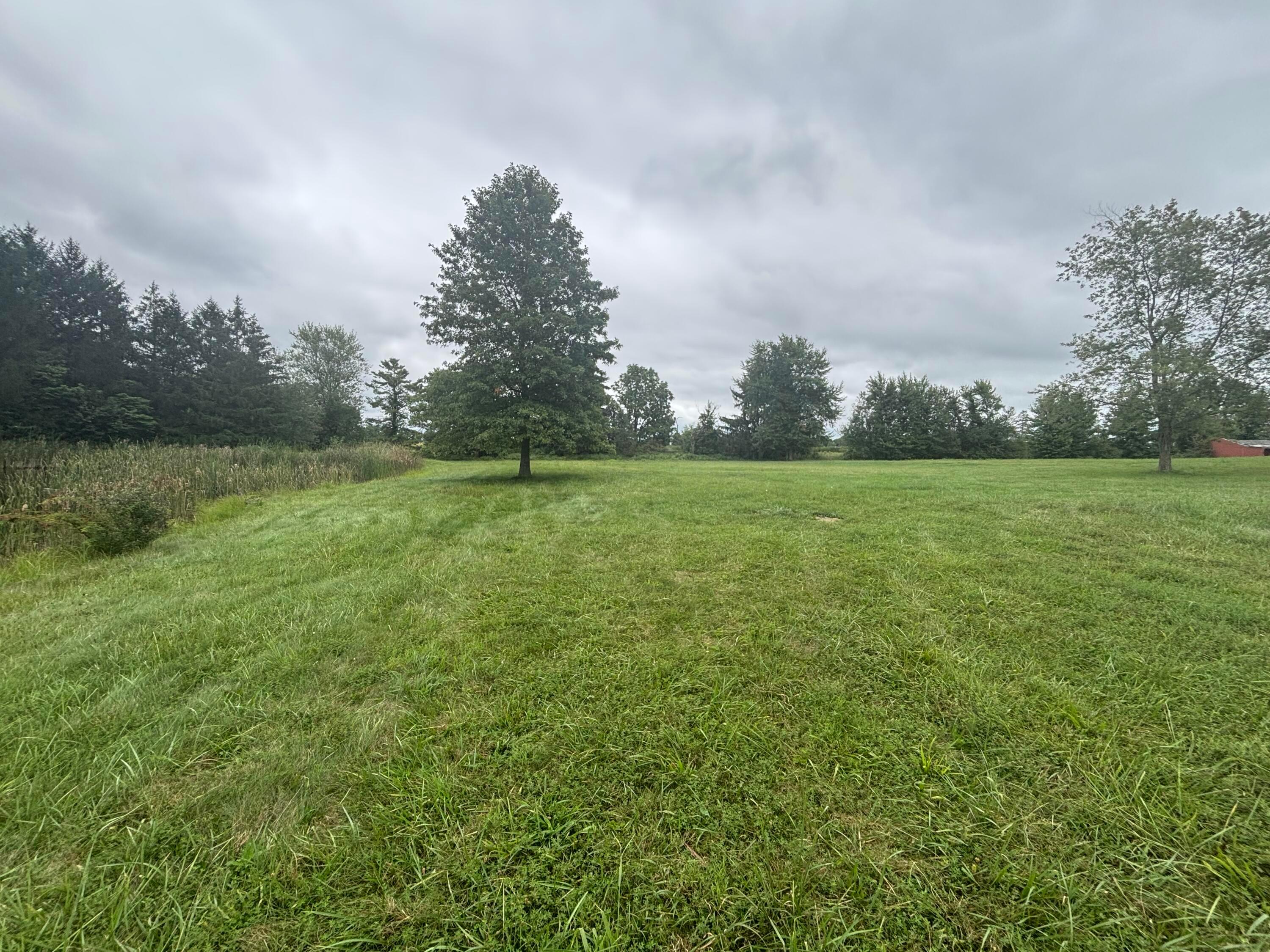 2017 Hazelton-Etna Road Southwest Alexandria, OH 43001 - Photo 11 of 39 Backyard