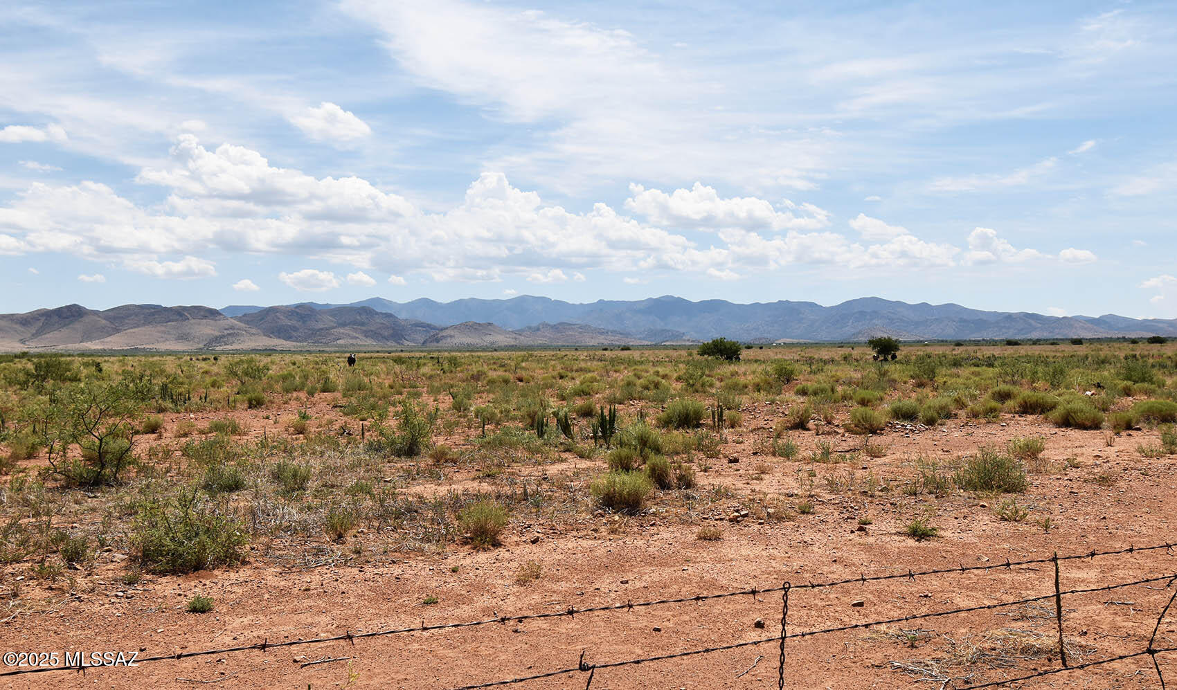 60-ac South Cross Creek Road, Unit 4 Pearce, AZ 85625 - Photo 38 of 39 View East acrpss fence
