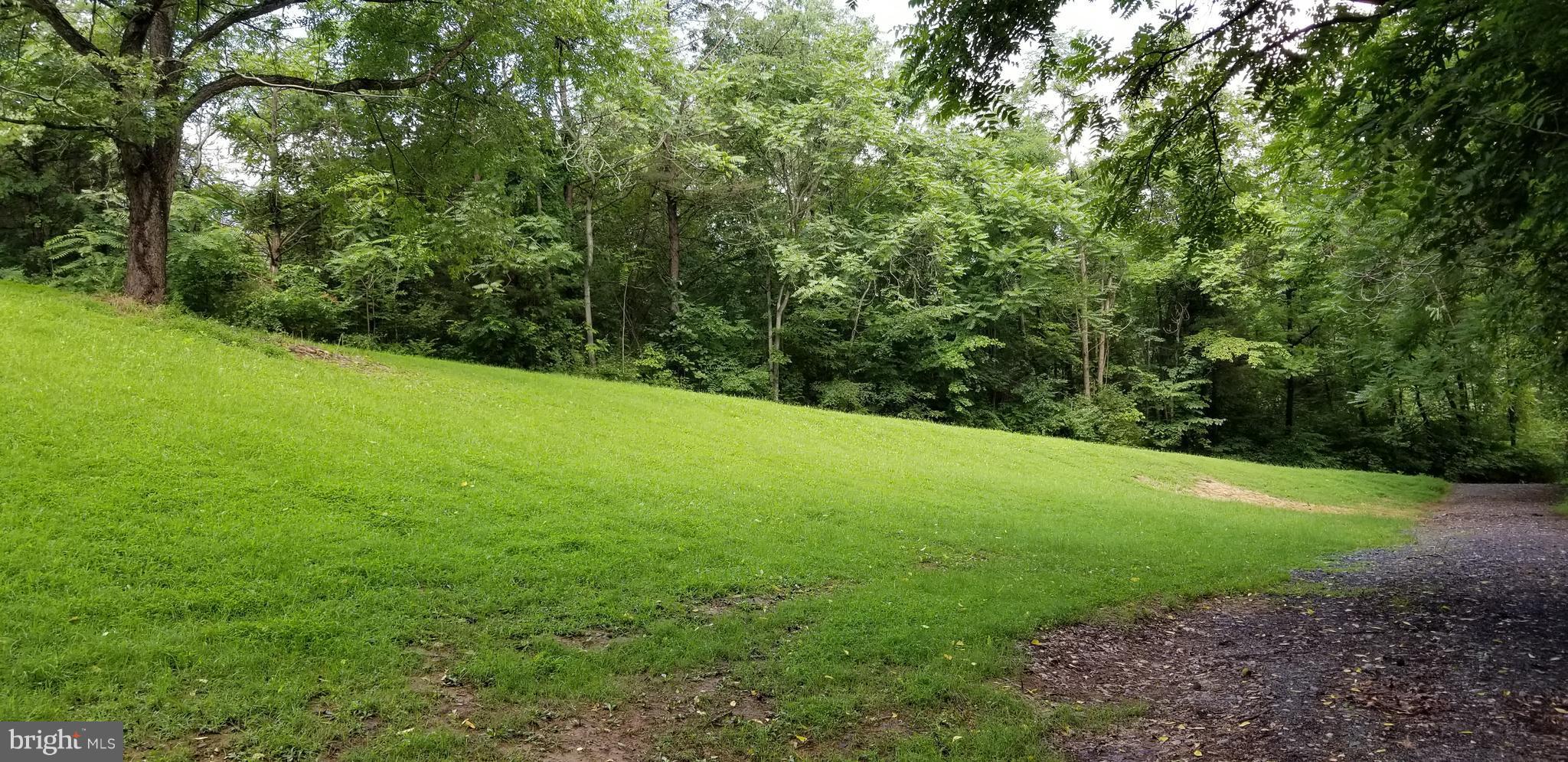 416 Paradise Valley Road Falling Waters, WV 25419 - Photo 26 of 30 Back yard view