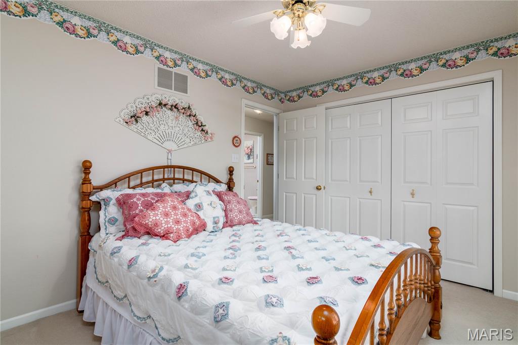 2945 Wellen Road Highland, IL 62249 - Photo 29 of 54