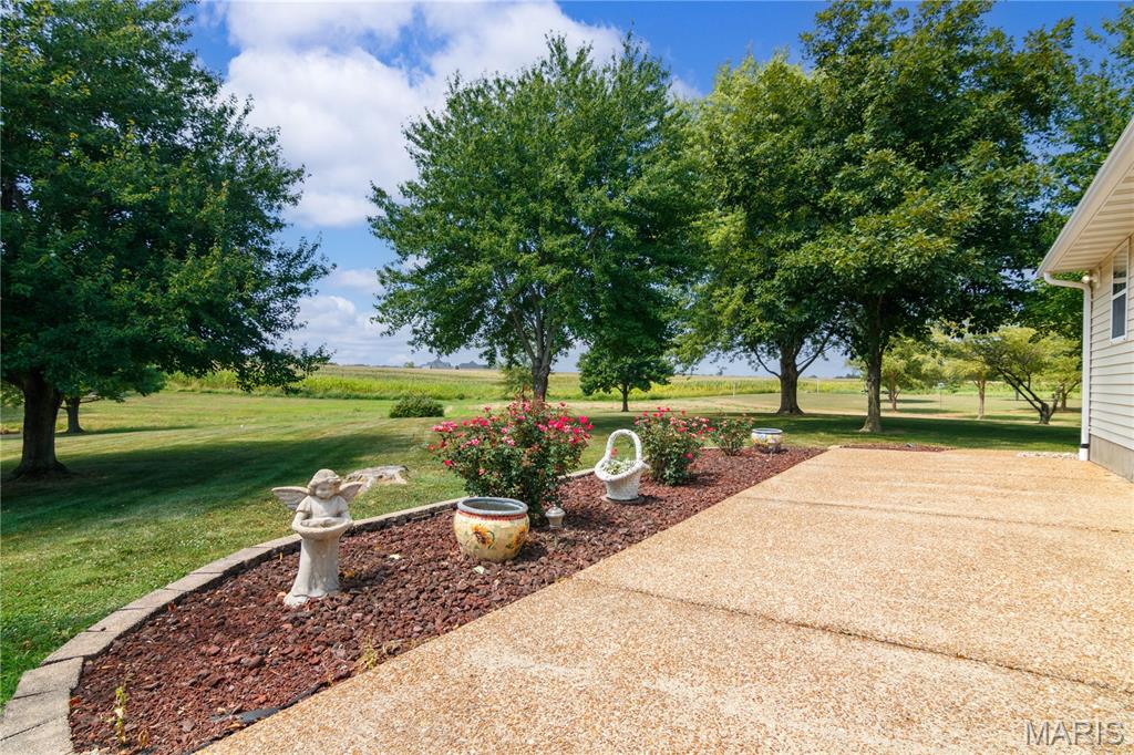 2945 Wellen Road Highland, IL 62249 - Photo 45 of 54