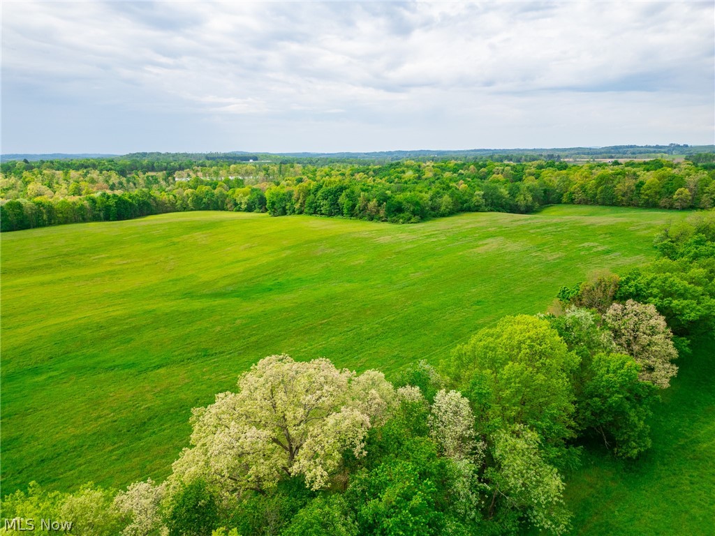 Emerick Road Summitville, OH 43962 - Photo 29 of 47