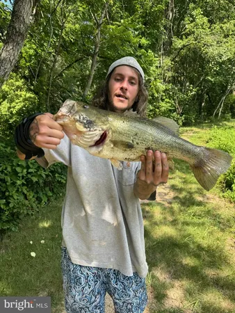 $995,000 | 133 Avis Mill Road, Pilesgrove, NJ 08098