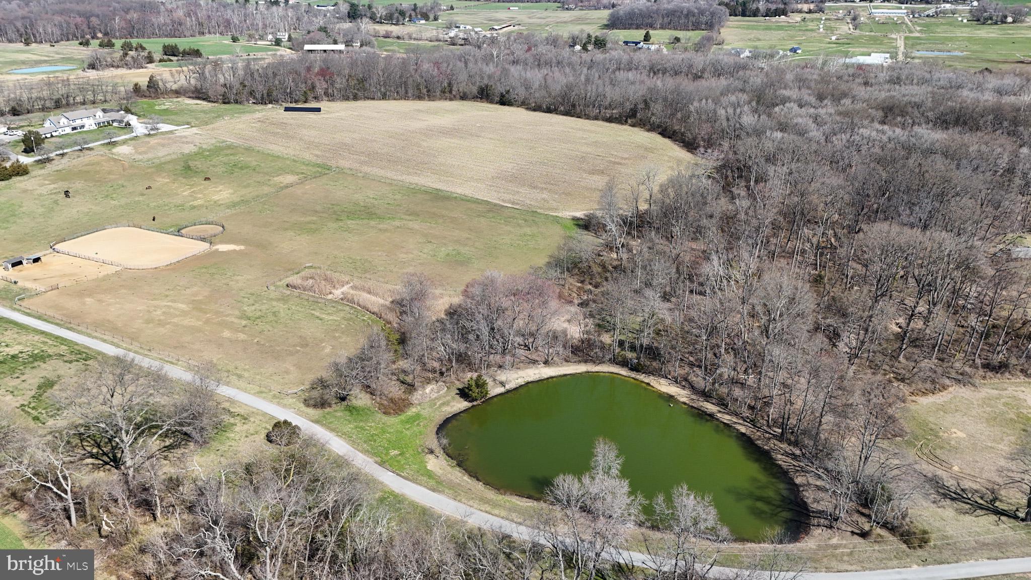 133 Avis Mill Road Pilesgrove, NJ 08098 - Photo 56 of 58 a view of outdoor space and outdoor space