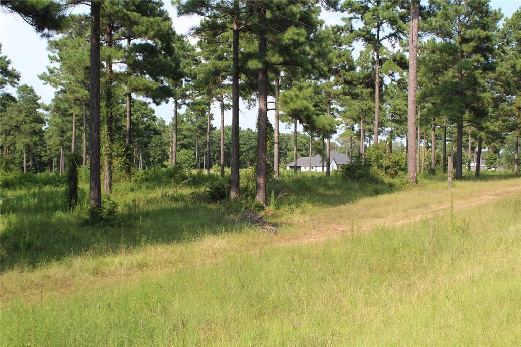3559 Parish Line Road Doyline, LA 71023 - Photo 3 of 3 Nice home to the right of property.