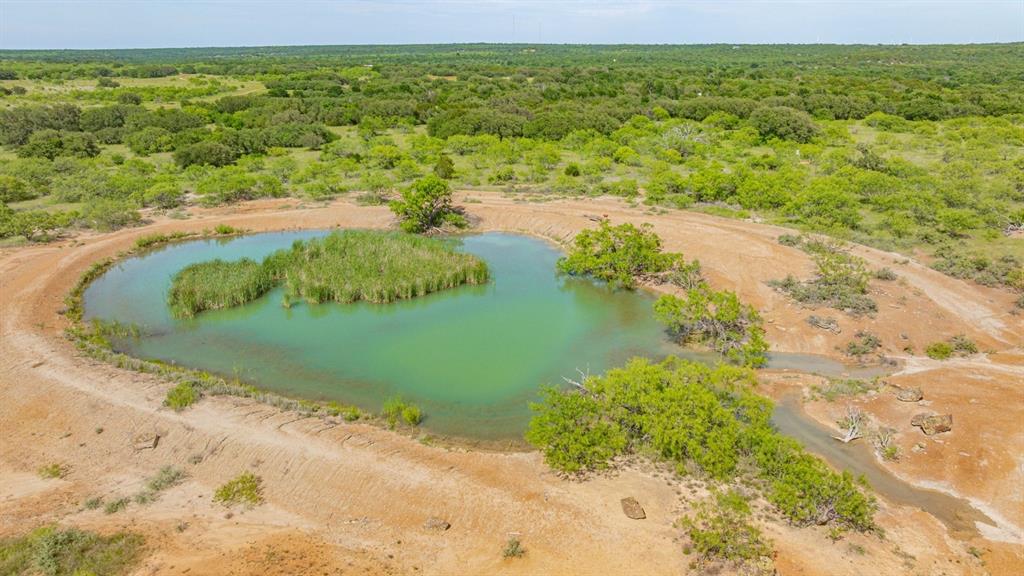 136 Moose Trail Ranger, TX 76470 - Photo 3 of 40