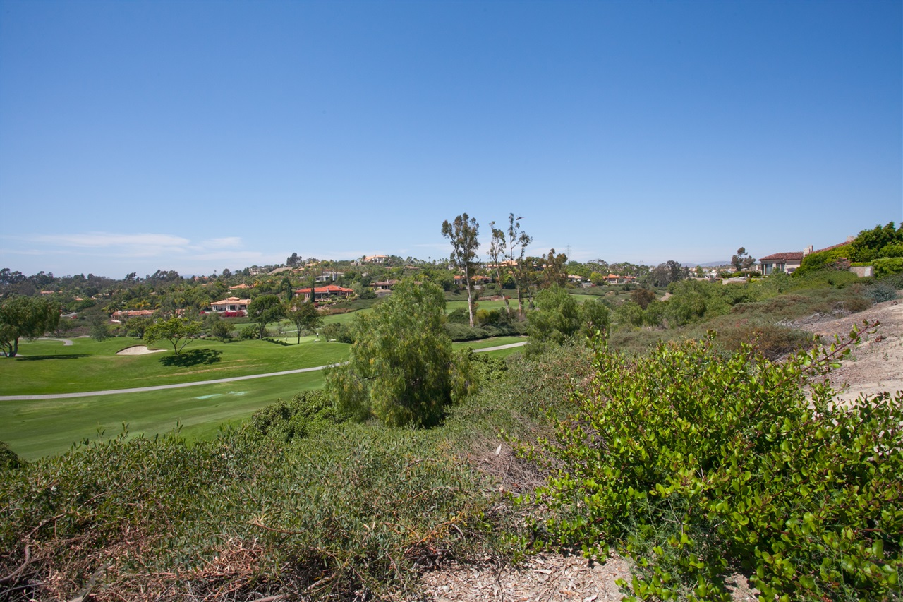 6862 St Andrews Road Rancho Santa Fe, CA 92067 - Photo 4 of 9