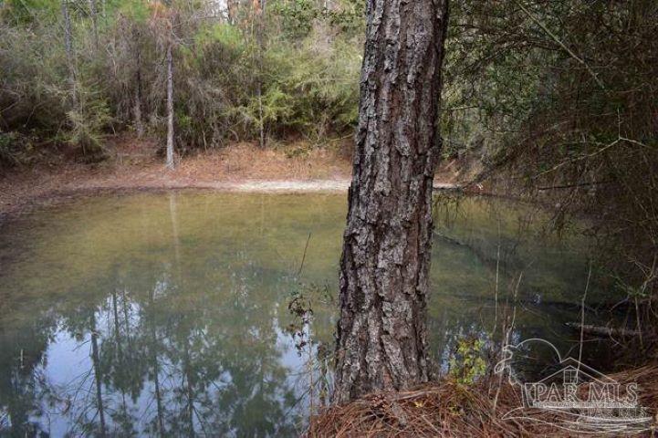 1 Pat Brown Road Milton, FL 32570 - Photo 14 of 30 Gallery Image 14