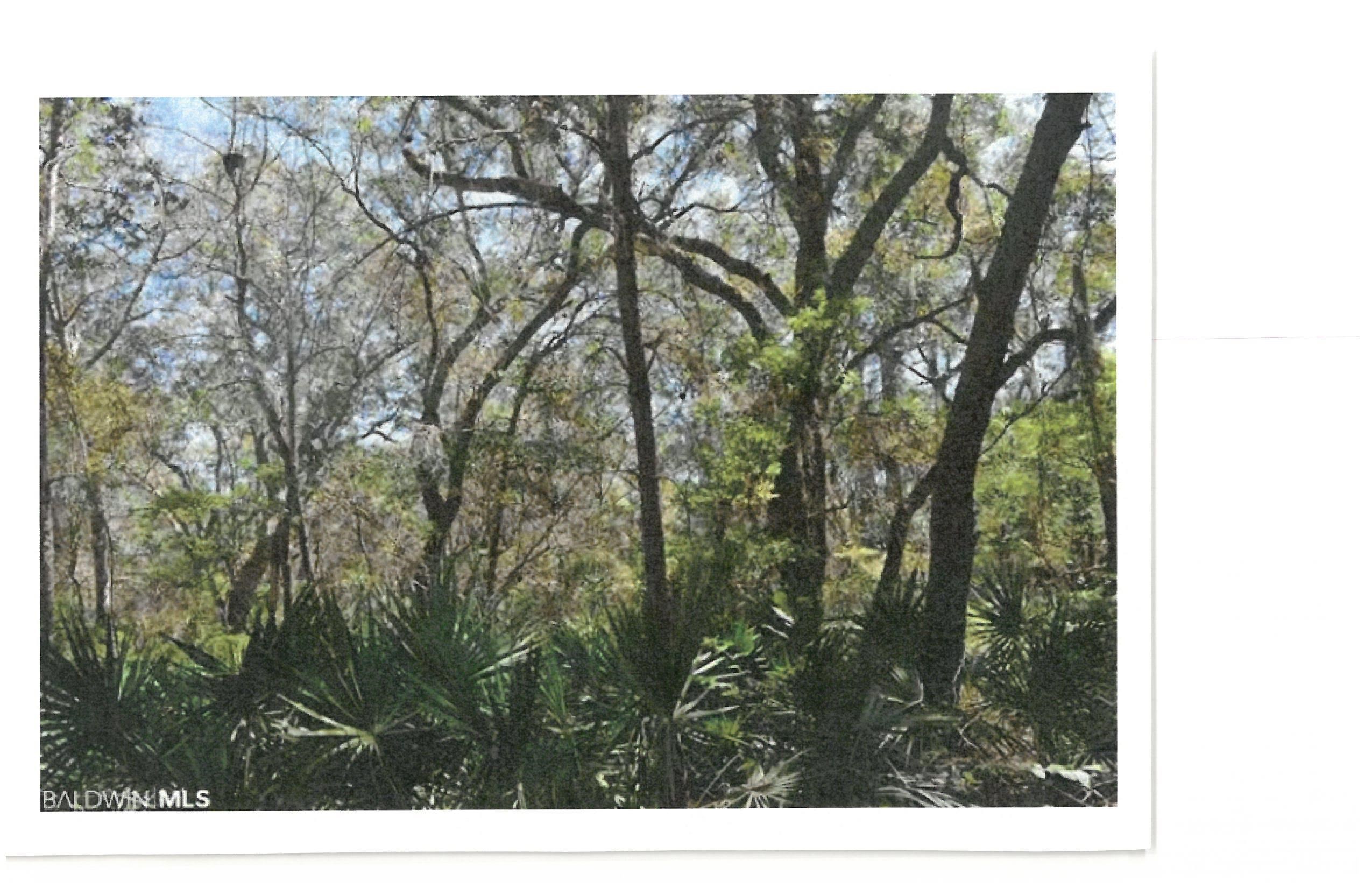 0 Newberry Road Gulf Shores, AL 36542 - Photo 2 of 3