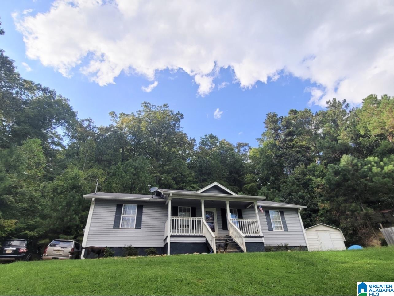 861 Chinch Creek Road Piedmont, AL 36272 - Photo 1 of 20