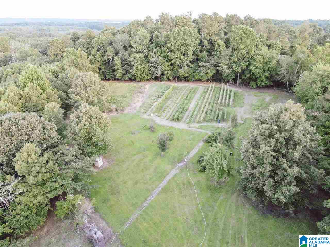 4000 County Road 20 Oneonta, AL 35121 - Photo 15 of 48
