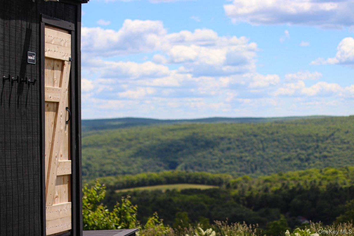 125 Mapes Road Barryville, NY 12719 - Photo 43 of 45 Sauna