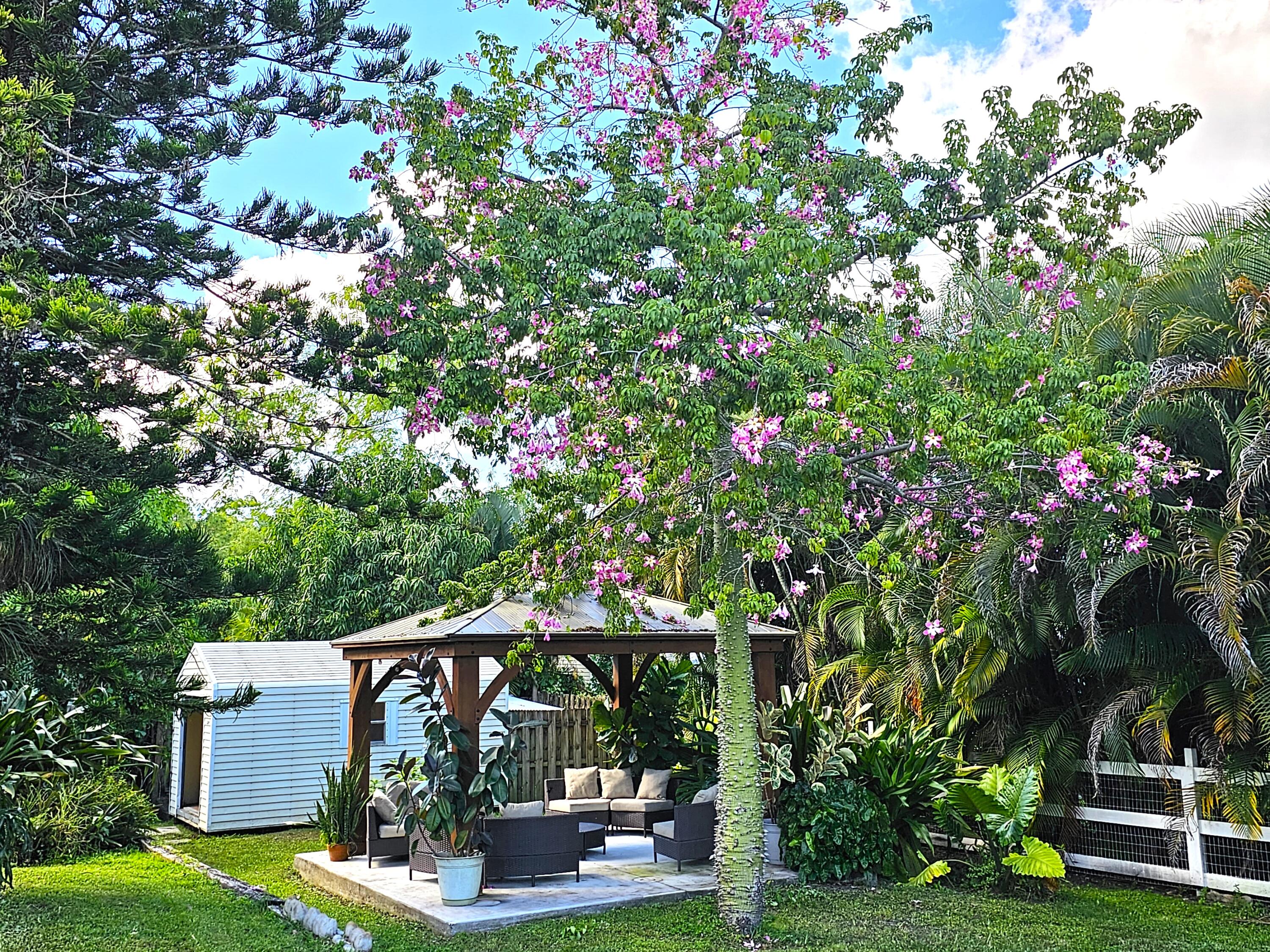 12575 52nd Road North The Acreage, FL 33411 - Photo 45 of 65 20231023_144045