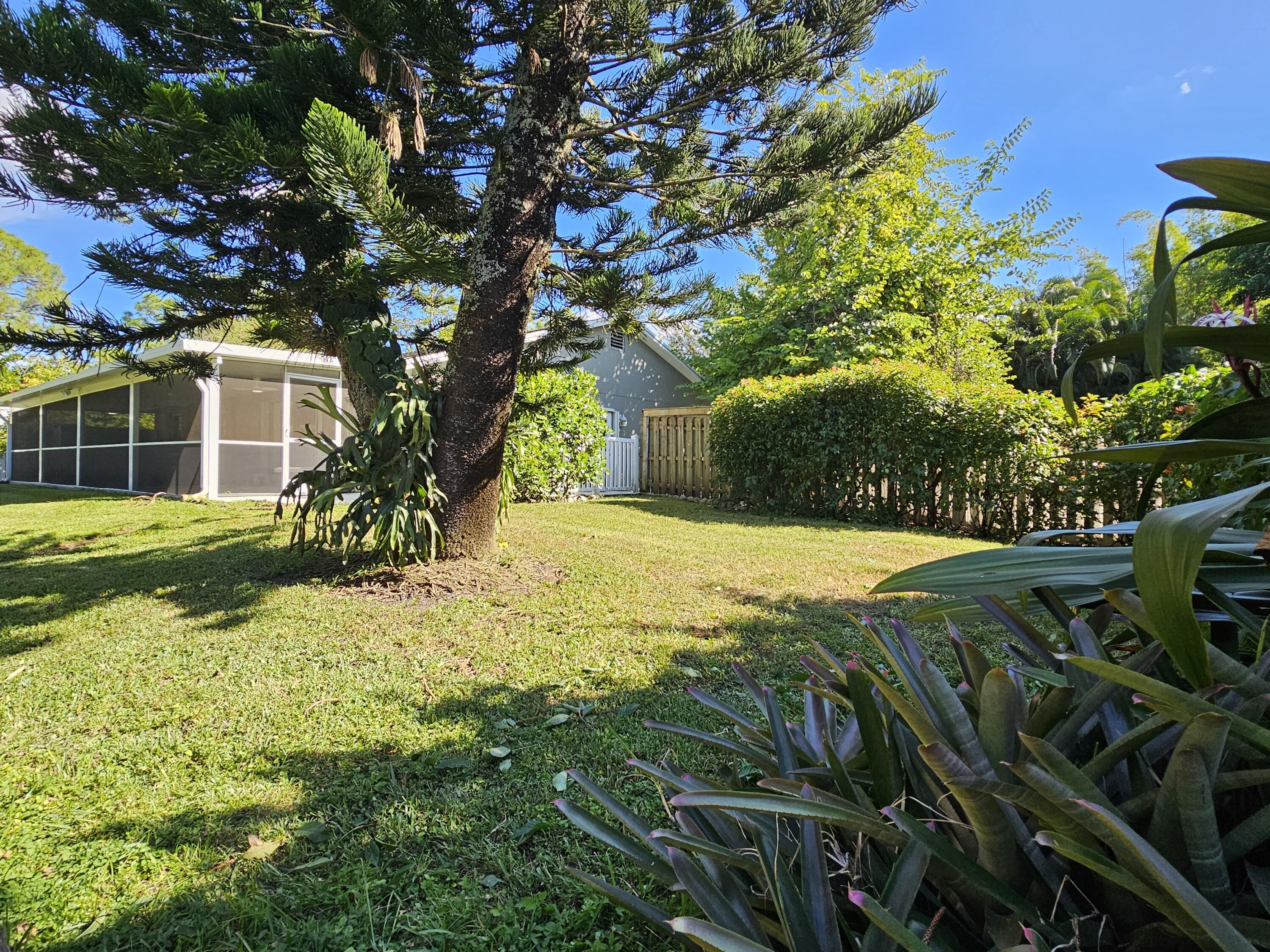 12575 52nd Road North The Acreage, FL 33411 - Photo 51 of 65 Rear side lawn