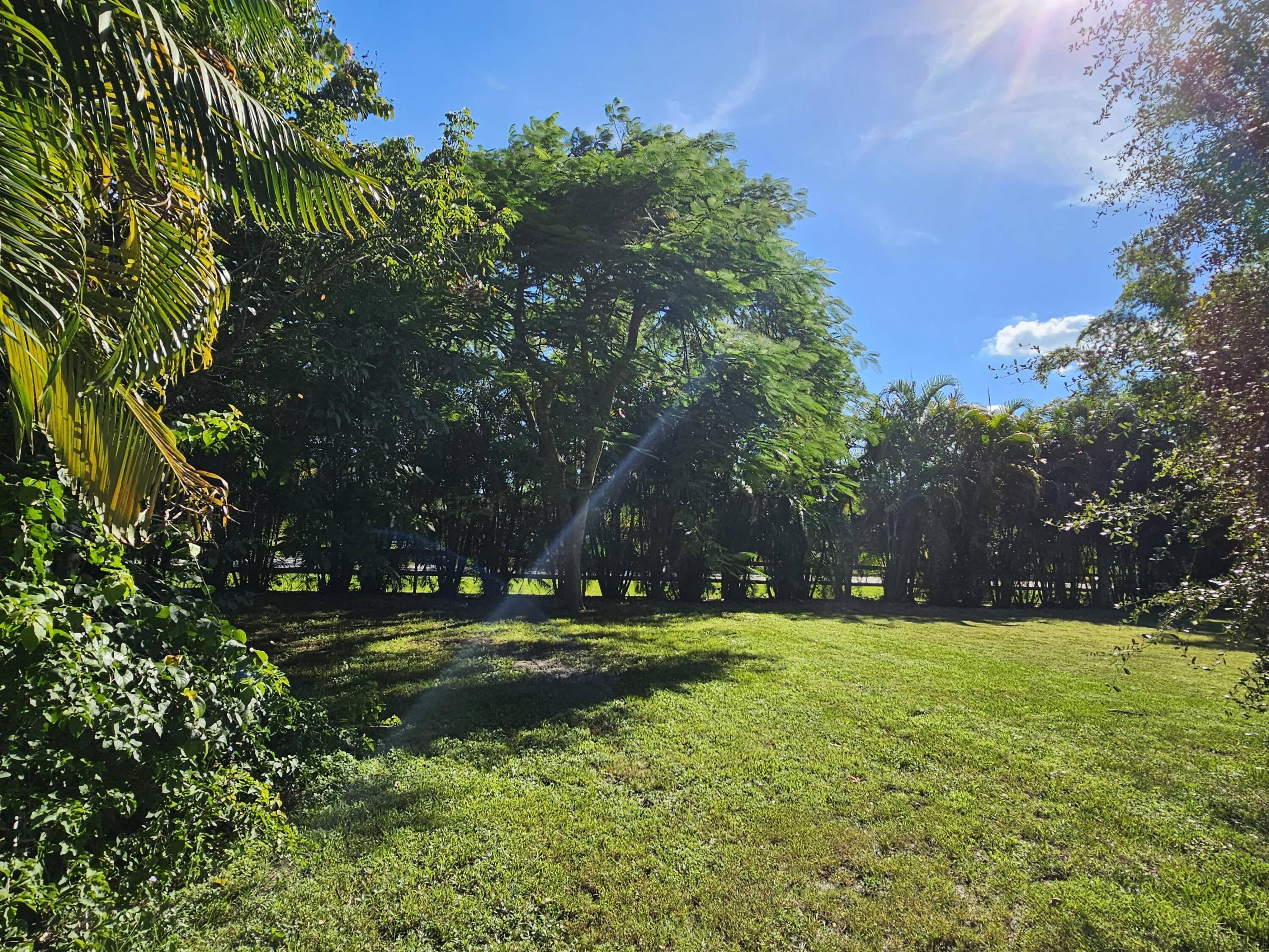 12575 52nd Road North The Acreage, FL 33411 - Photo 54 of 65 Front lawn