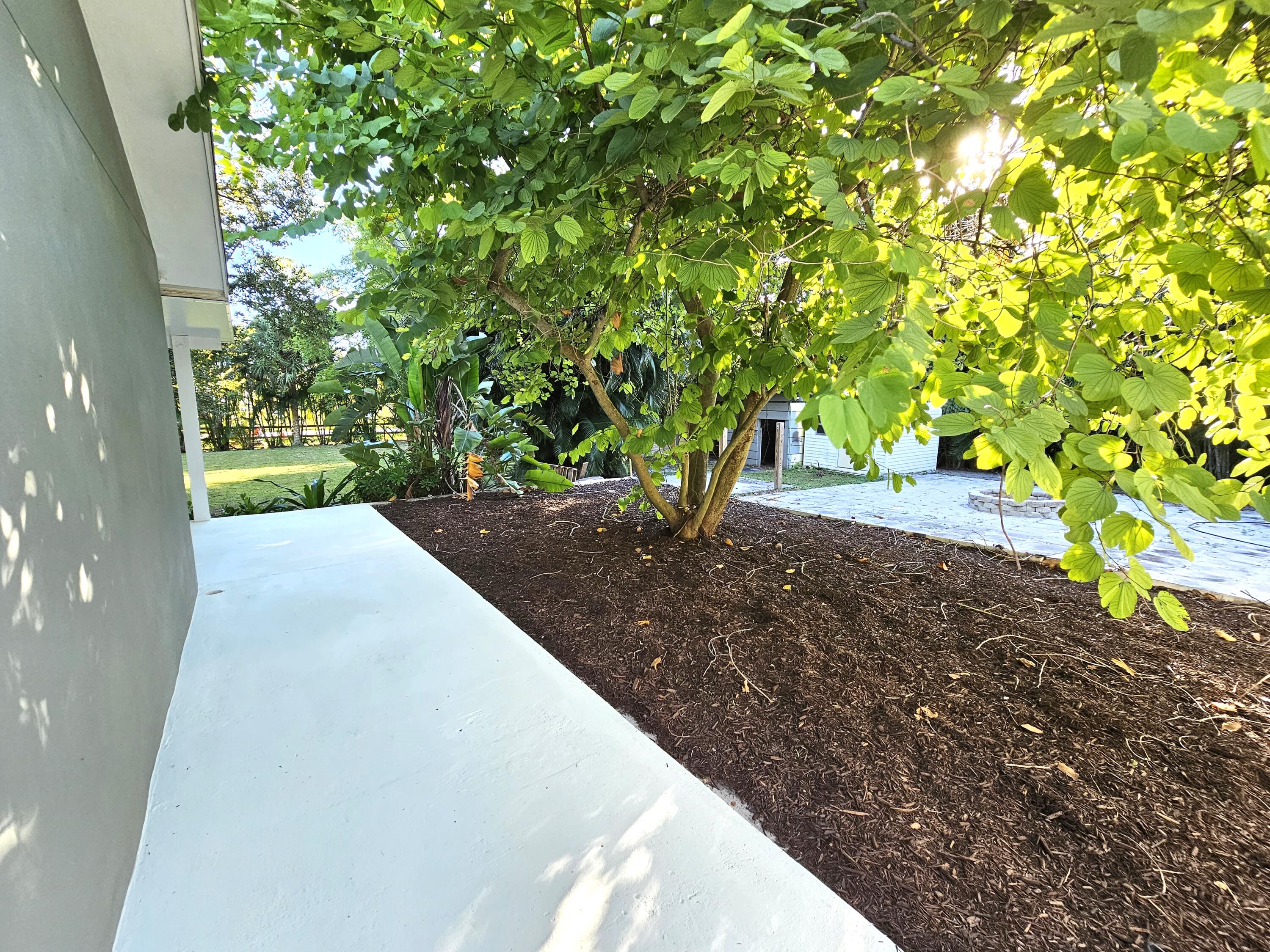 12575 52nd Road North The Acreage, FL 33411 - Photo 9 of 65 Side lawn