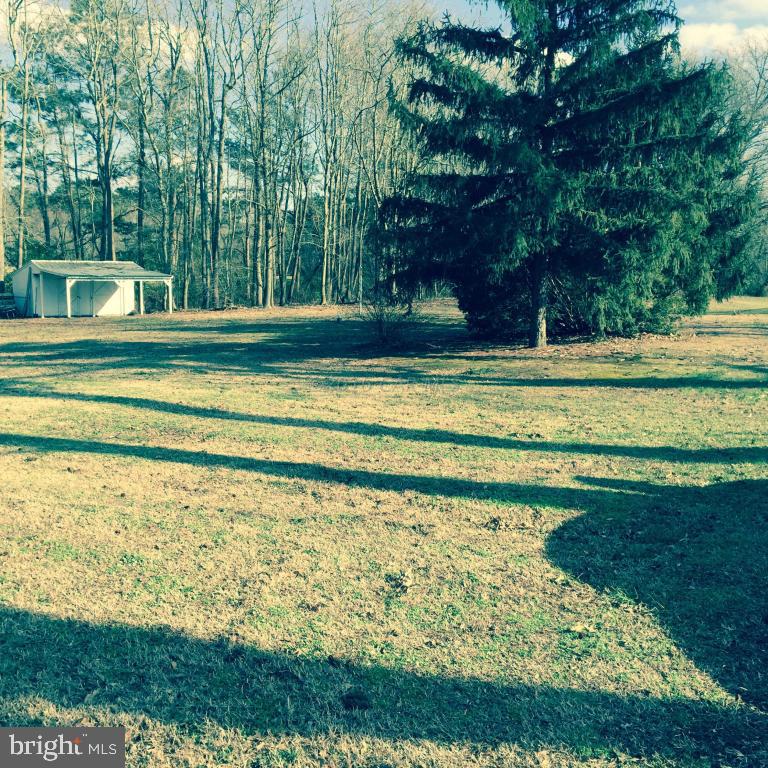 6575 Forest Grove Road Parsonsburg, MD 21849 - Photo 2 of 17 Gallery Image 2