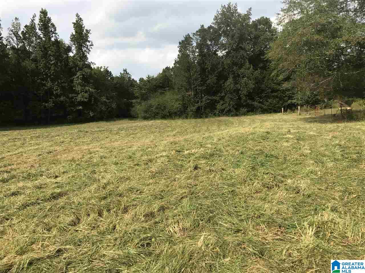 516 County Road Woodland, AL 36280 - Photo 3 of 22