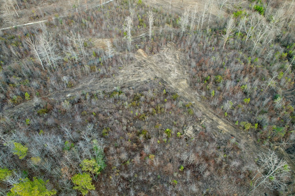 Tbd Bahalia Road Northeast Wesson, MS 39191 - Photo 11 of 30 Photo 11