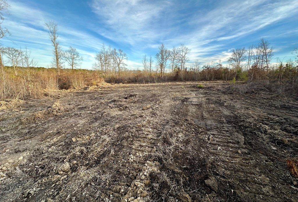 Tbd Bahalia Road Northeast Wesson, MS 39191 - Photo 13 of 30 Photo 13