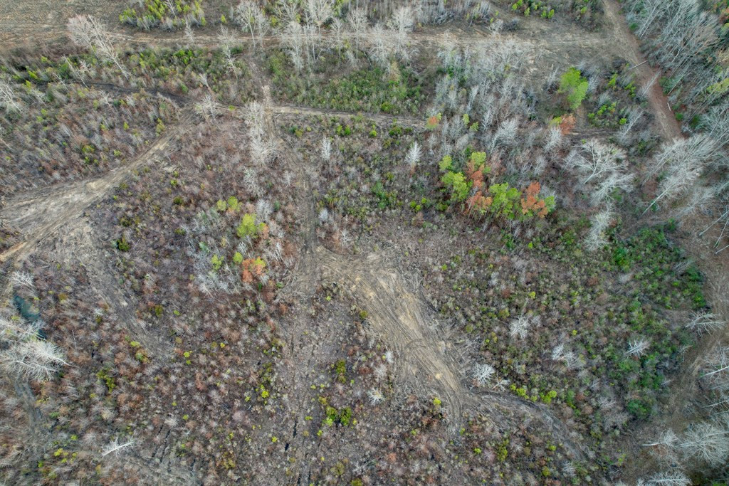 Tbd Bahalia Road Northeast Wesson, MS 39191 - Photo 14 of 30 Photo 14