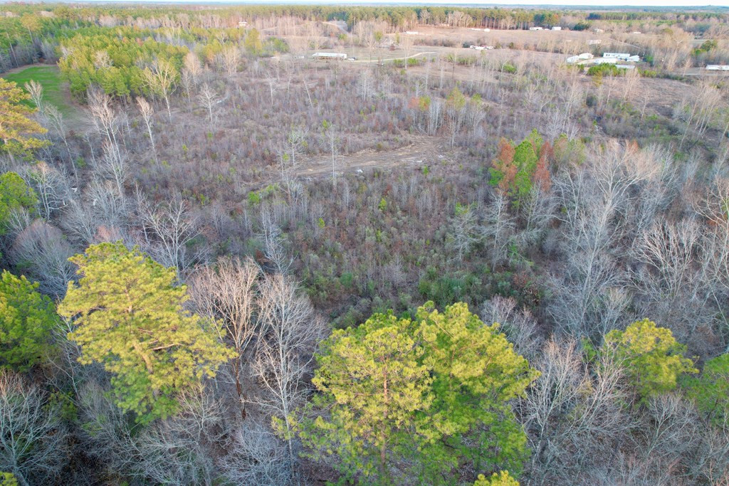 Tbd Bahalia Road Northeast Wesson, MS 39191 - Photo 15 of 30 Photo 15