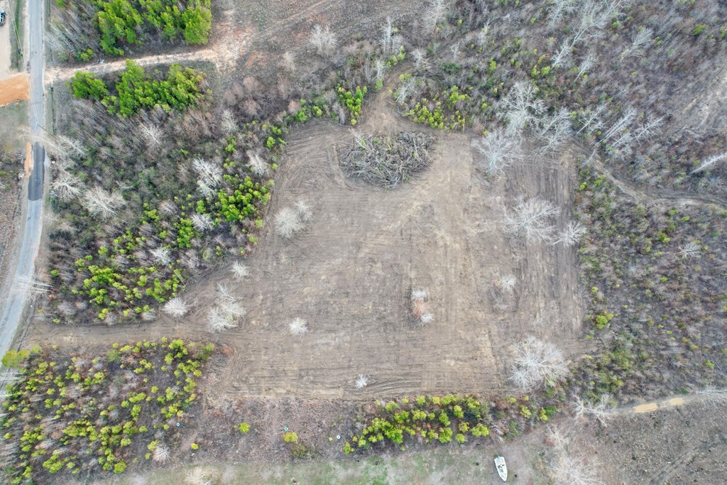 Tbd Bahalia Road Northeast Wesson, MS 39191 - Photo 2 of 30 Photo 2