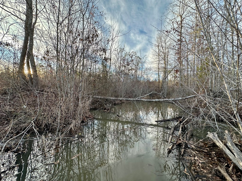 Tbd Bahalia Road Northeast Wesson, MS 39191 - Photo 22 of 30 Photo 22