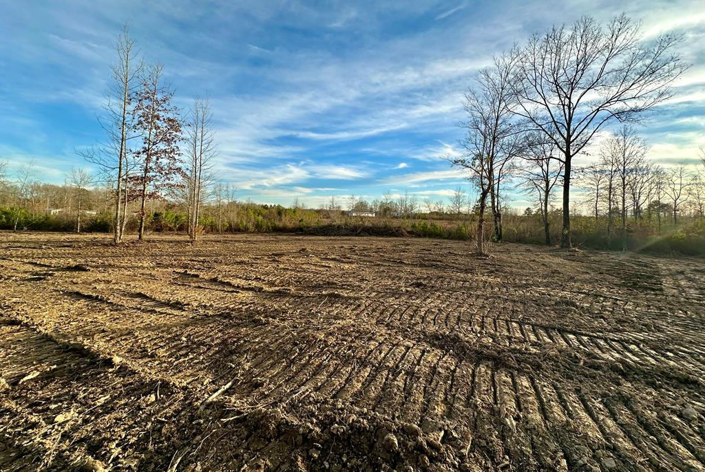 Tbd Bahalia Road Northeast Wesson, MS 39191 - Photo 26 of 30 Photo 26
