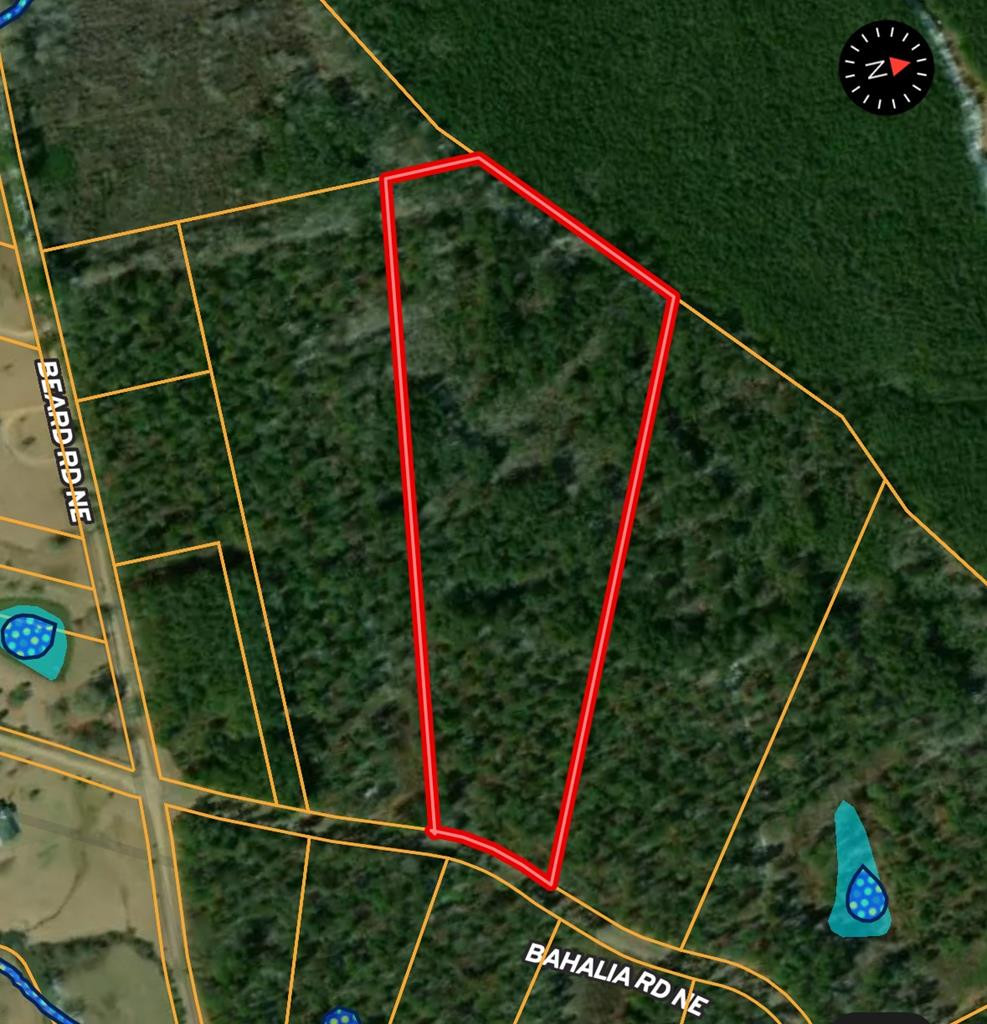 Tbd Bahalia Road Northeast Wesson, MS 39191 - Photo 29 of 30 Photo 29