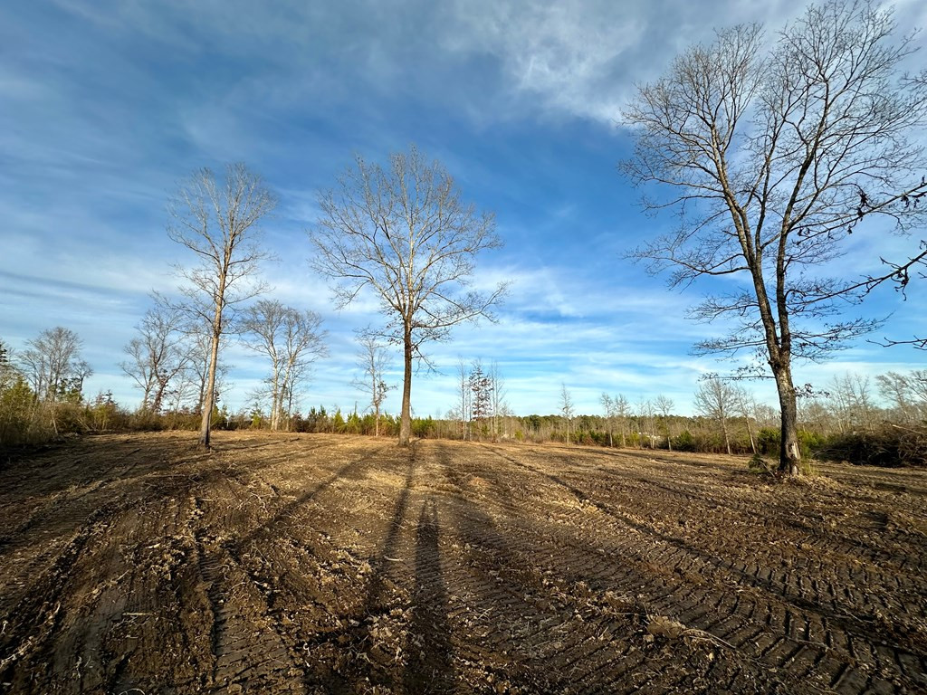 Tbd Bahalia Road Northeast Wesson, MS 39191 - Photo 5 of 30 Photo 5