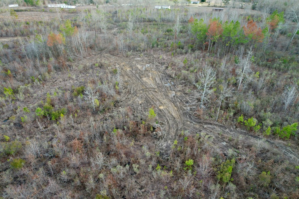 Tbd Bahalia Road Northeast Wesson, MS 39191 - Photo 8 of 30 Photo 8