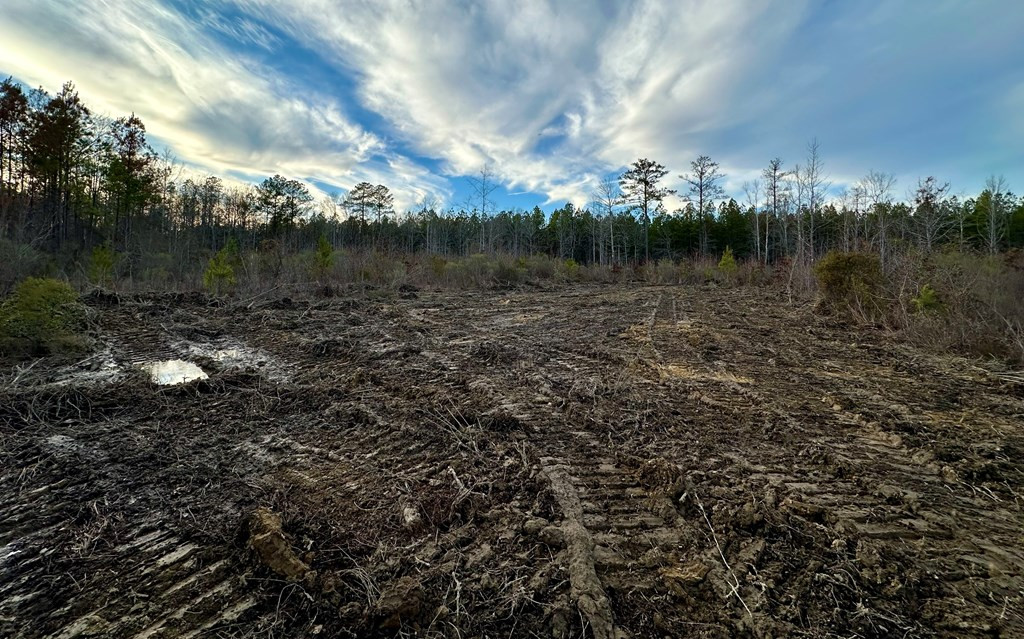 Tbd Bahalia Road Northeast Wesson, MS 39191 - Photo 10 of 30 Photo 10