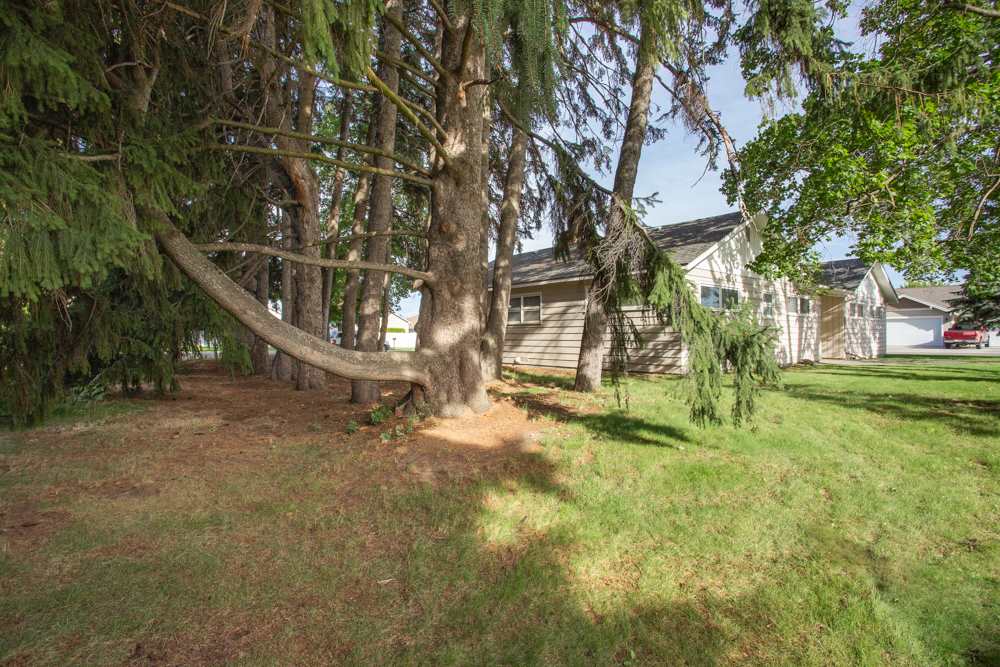 1421 South Evergreen Road Spokane Valley, WA 99037 - Photo 19 of 20 Gallery Image 19
