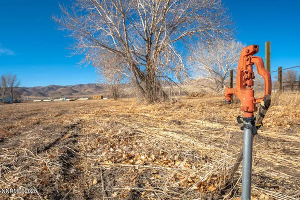 a view of a dry yard with wooden fence
