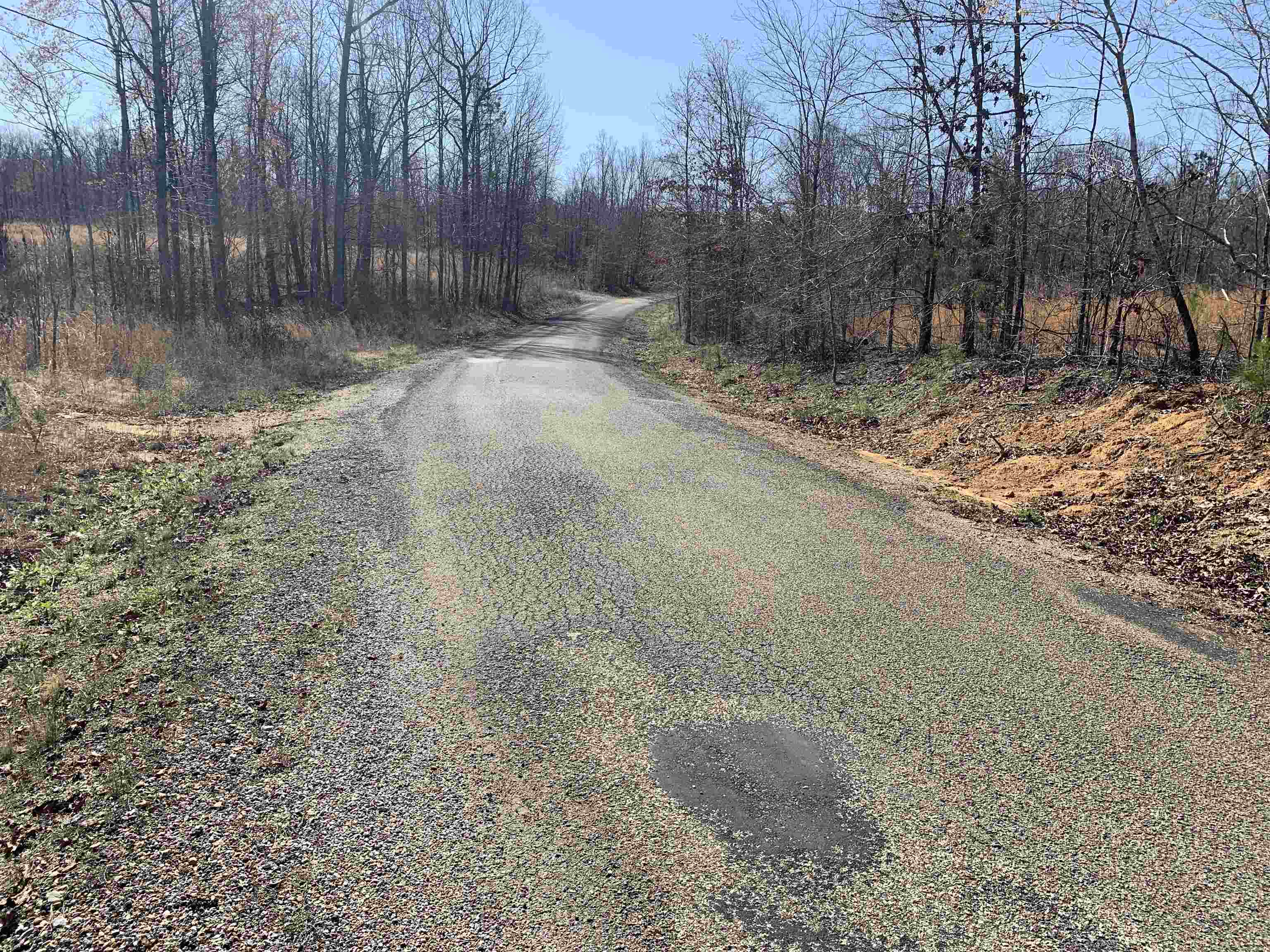 Pine Ridge Lane Adamsville, TN 38310 - Photo 6 of 13 a view of a yard with large trees