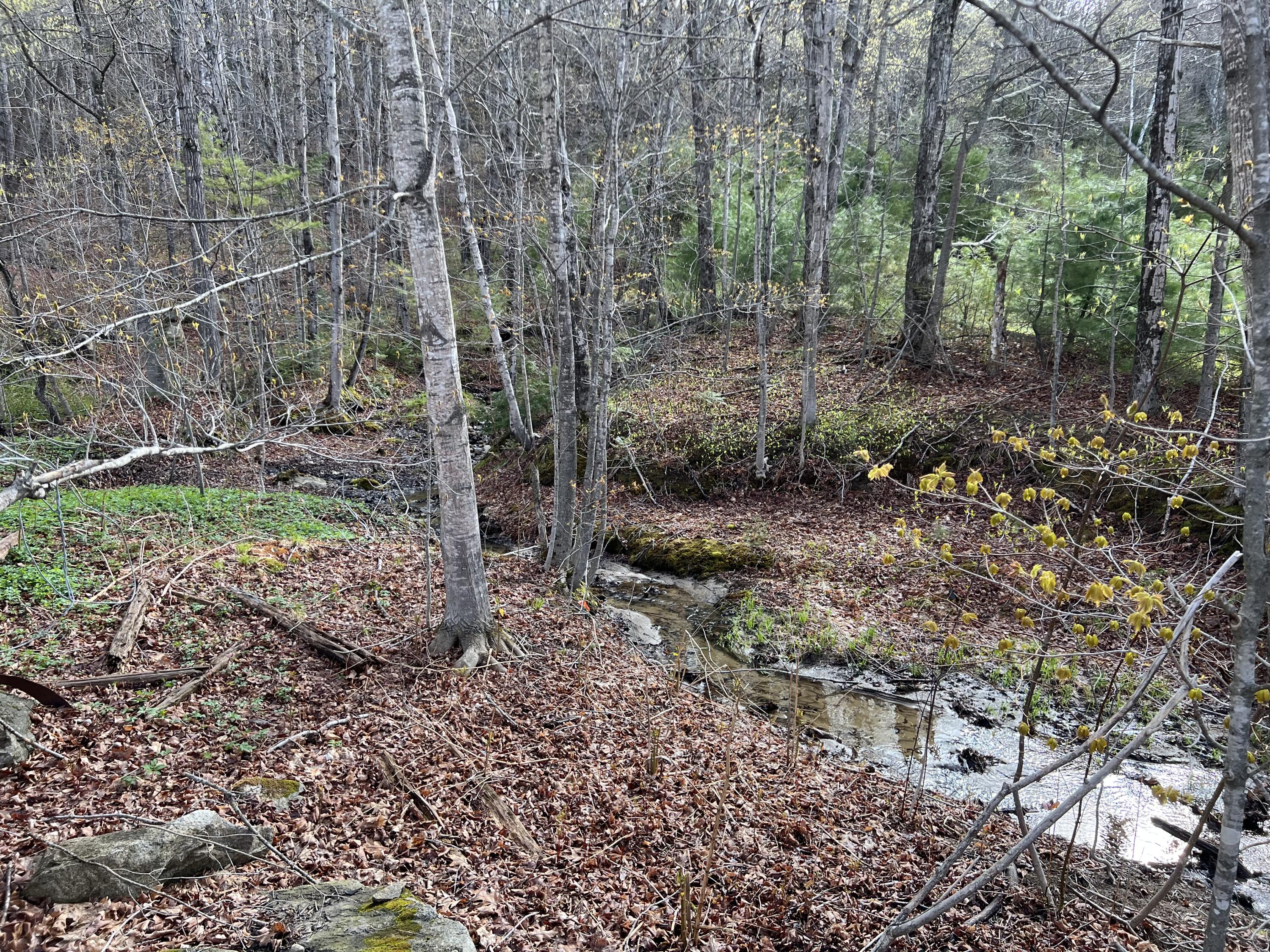 26 South Railroad Street Roxbury, ME 04275 - Photo 29 of 30 IMG_7180