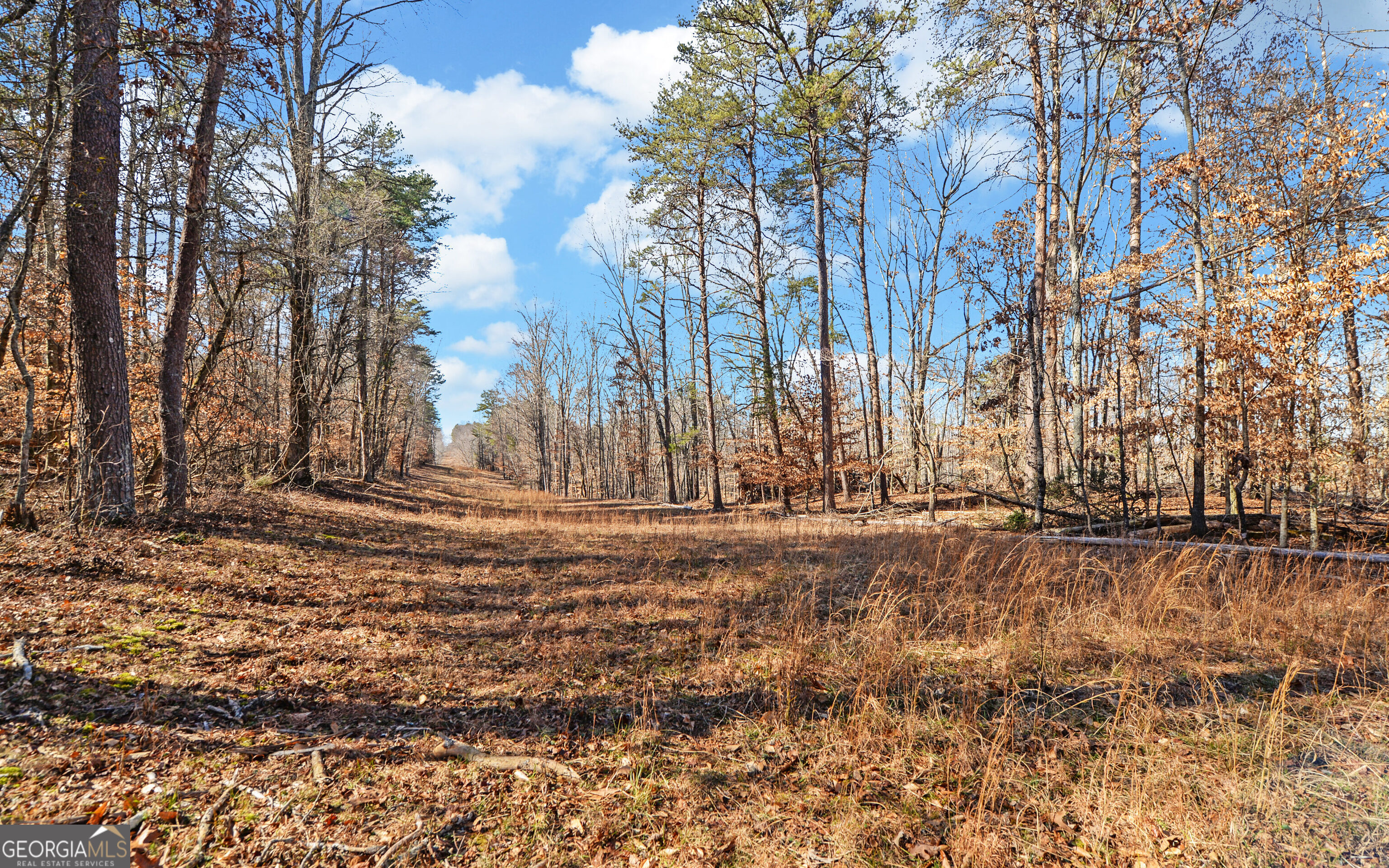 4431 Jim Hood Road Gainesville, GA 30506 - Photo 15 of 33 Gallery Image 15