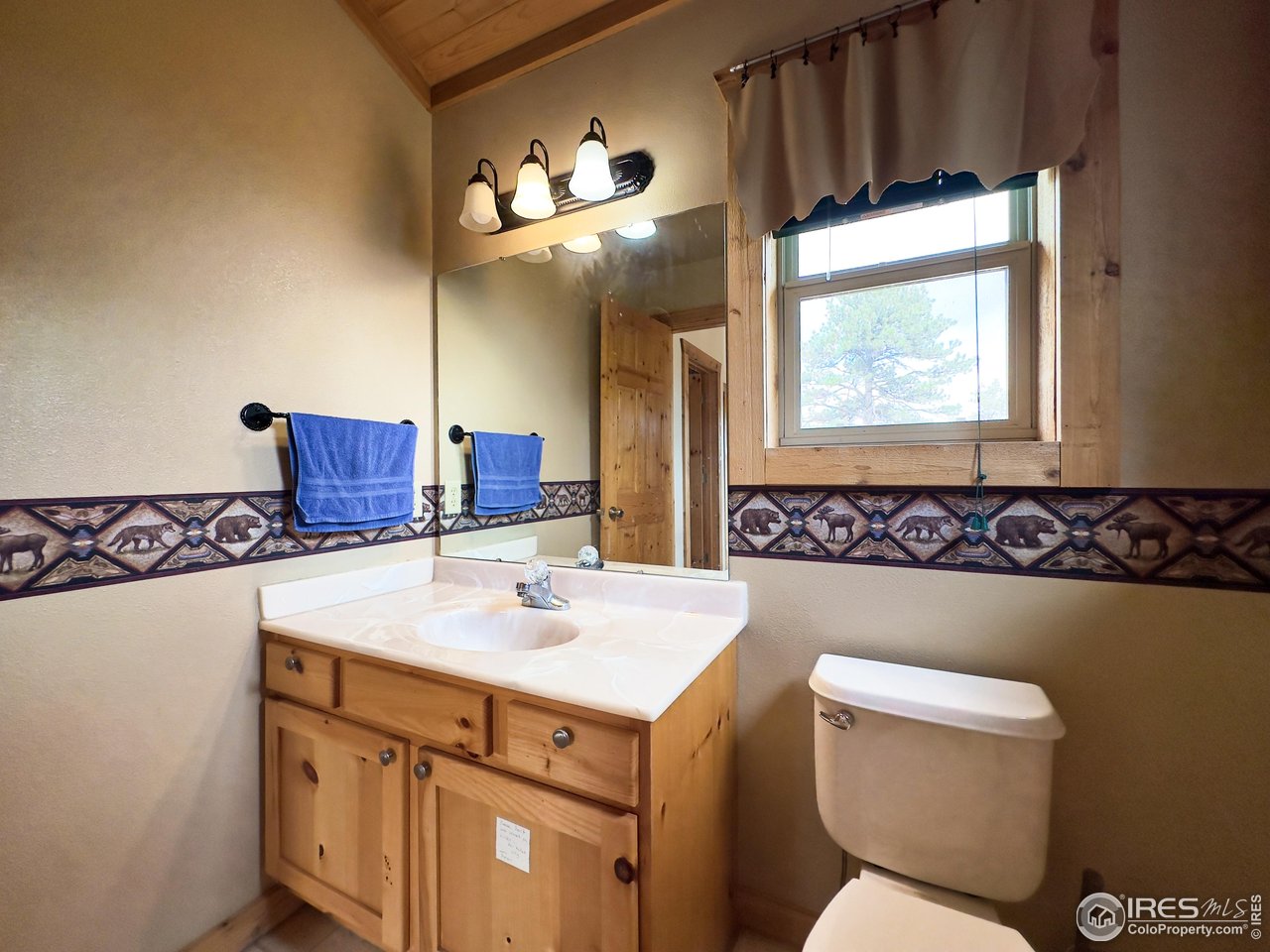 3676 Cherokee Meadows Road Livermore, CO 80536 - Photo 18 of 43 a bathroom with a sink a toilet and mirror
