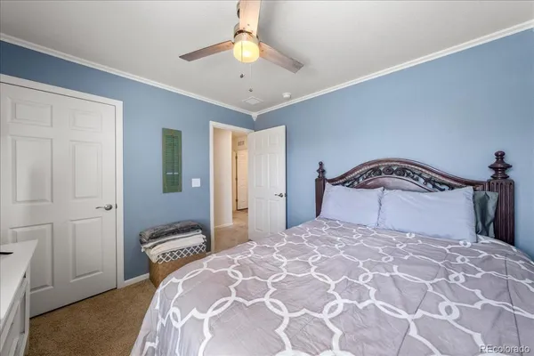 a view of livingroom with toys