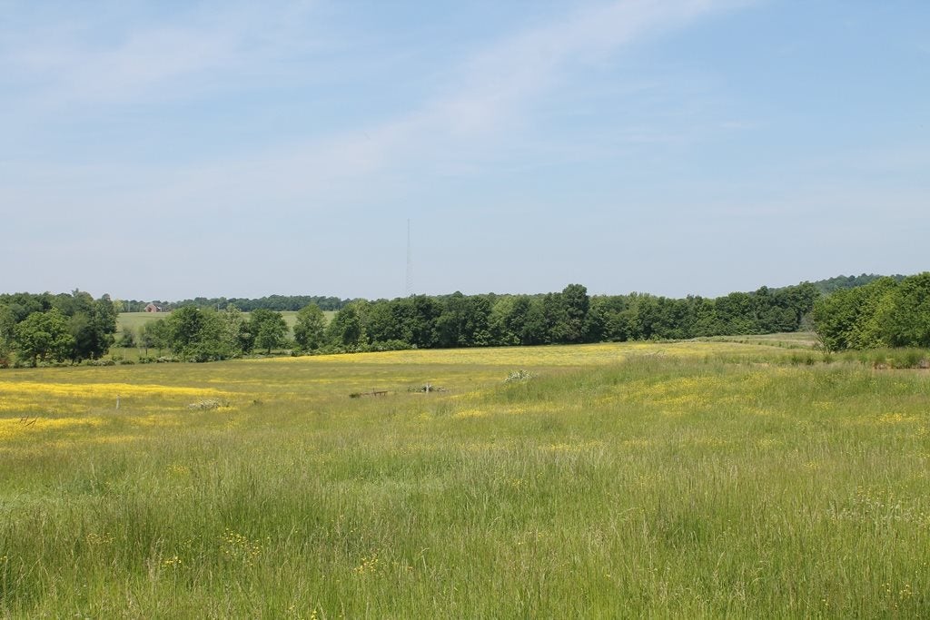 401 Shemwell Road Sharon Grove, KY 42280 - Photo 1 of 1 Gallery Image 1