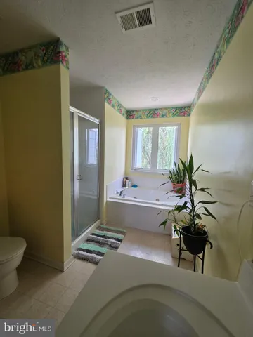 a living room with a couch and a potted plant
