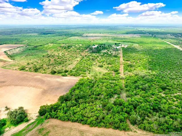 a view of a park with large trees