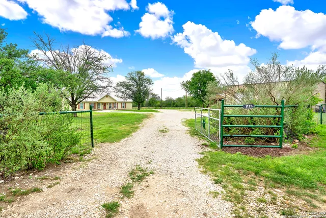 a view of a backyard with a garden and plants