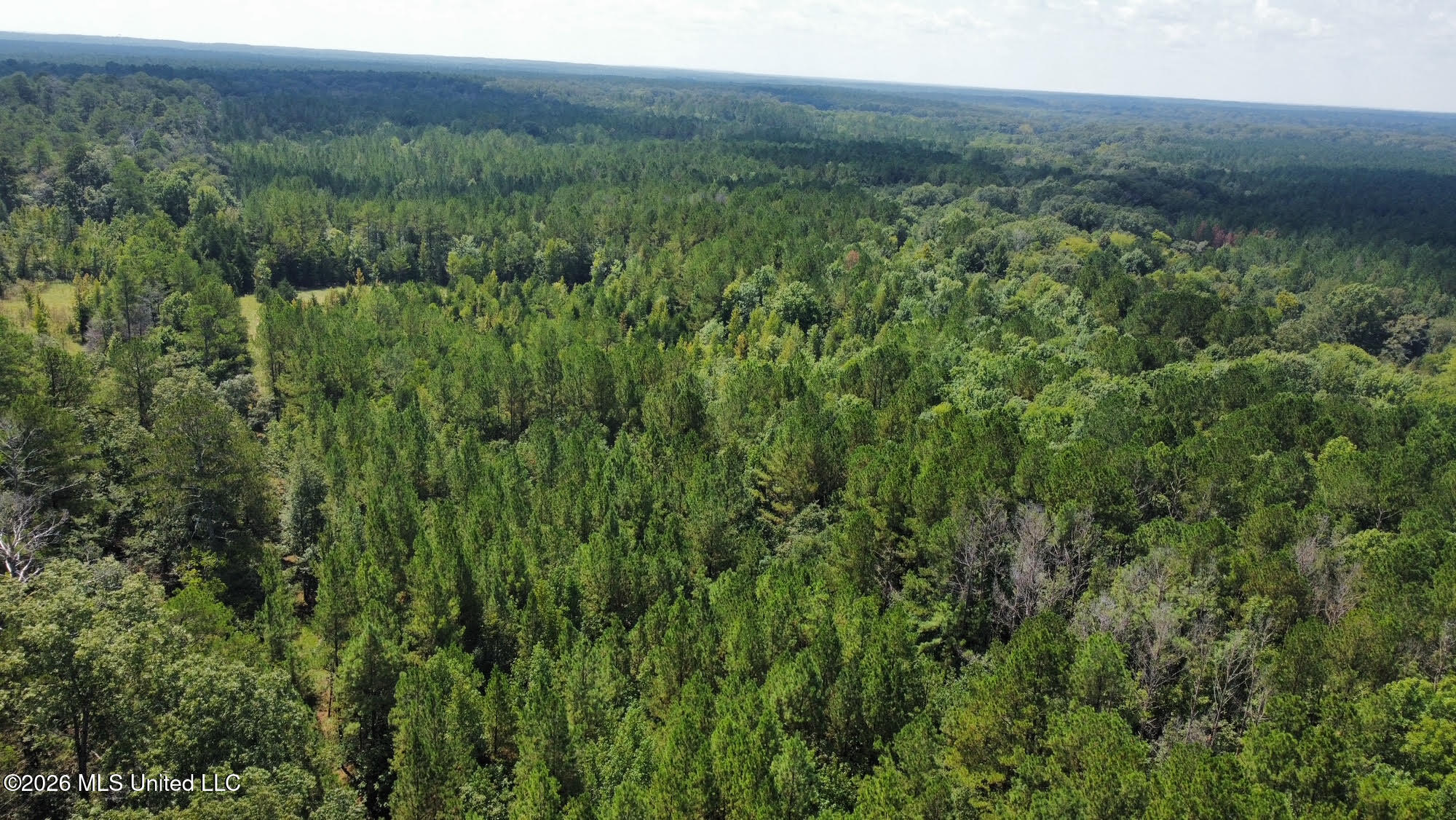 6 Forest Service Road 562 Pulaski, MS 39152 - Photo 13 of 18 304