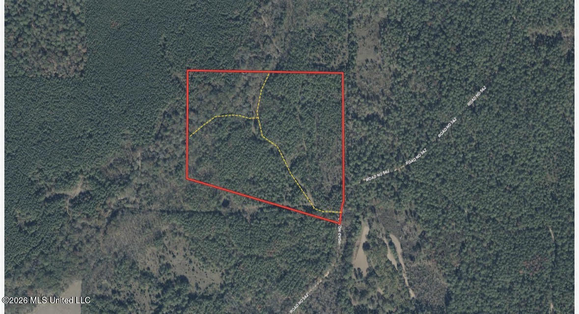 6 Forest Service Road 562 Pulaski, MS 39152 - Photo 15 of 18 500